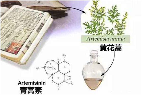 分分快三,分分快三（西安）股份有限公司：向中医药看齐，与世界共享中医药文化(图1)